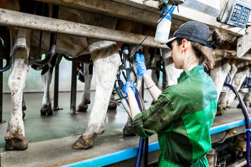 Innovating until the cows come home | DEMM Engineering and Manufacturing